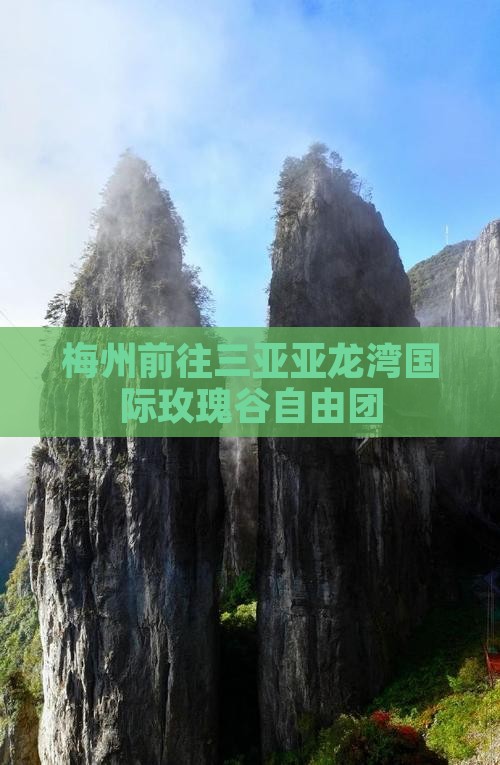 梅州前往三亚亚龙湾国际玫瑰谷自由团