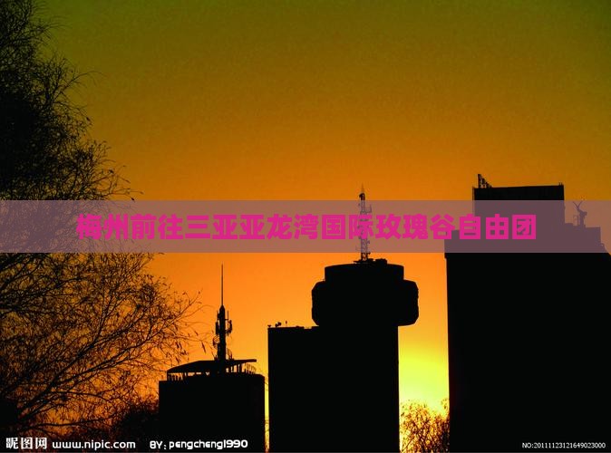 梅州前往三亚亚龙湾国际玫瑰谷自由团