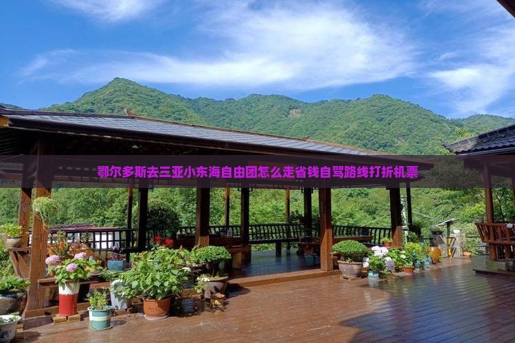 鄂尔多斯去三亚小东海自由团