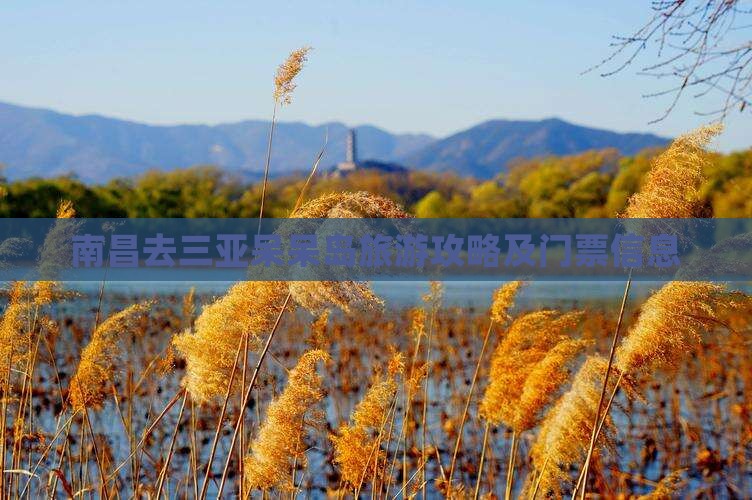 南昌去三亚呆呆岛门票
