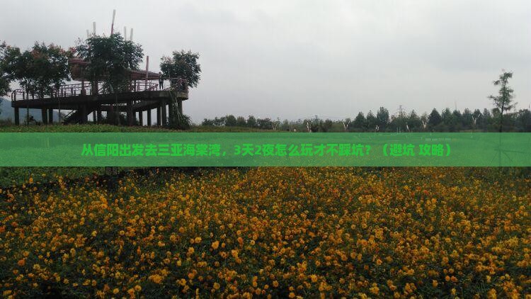 信阳前往三亚海棠湾个人游