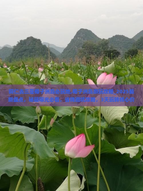 铜仁去三亚椰子洲岛必玩地