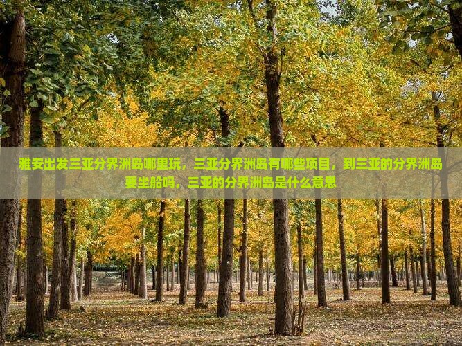 雅安出发三亚分界洲岛哪里玩