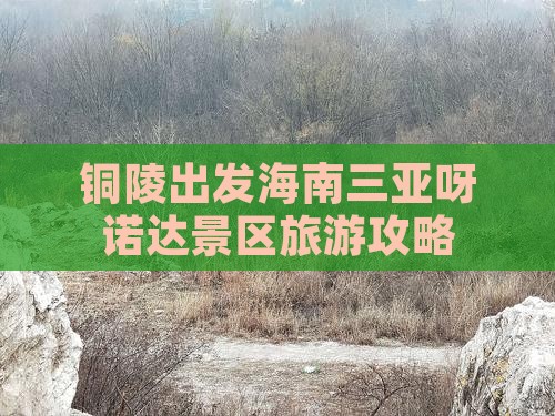 铜陵去三亚呀诺达景区团体旅游