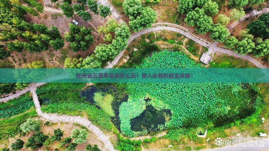 抚州去三亚呆呆岛攻略