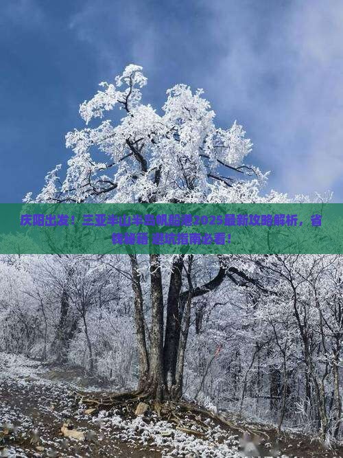 庆阳去三亚半山半岛帆船港攻略