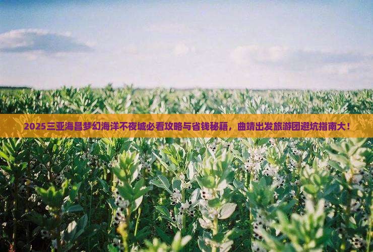 曲靖出发三亚海昌梦幻海洋不夜城大型旅游团