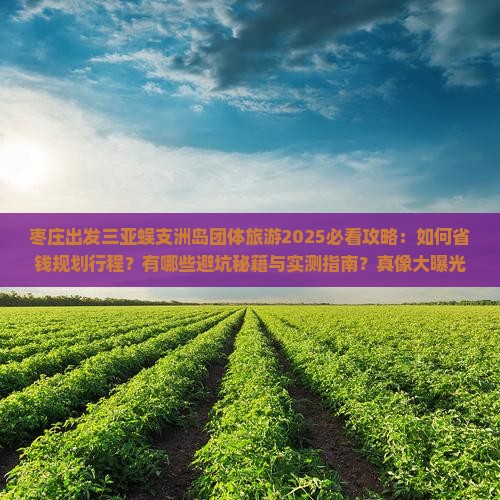 枣庄出发三亚蜈支洲岛团体旅游