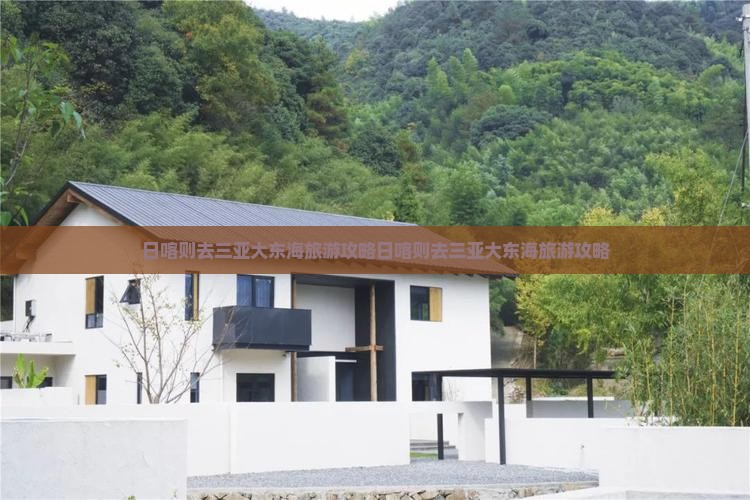 日喀则去三亚大东海旅游