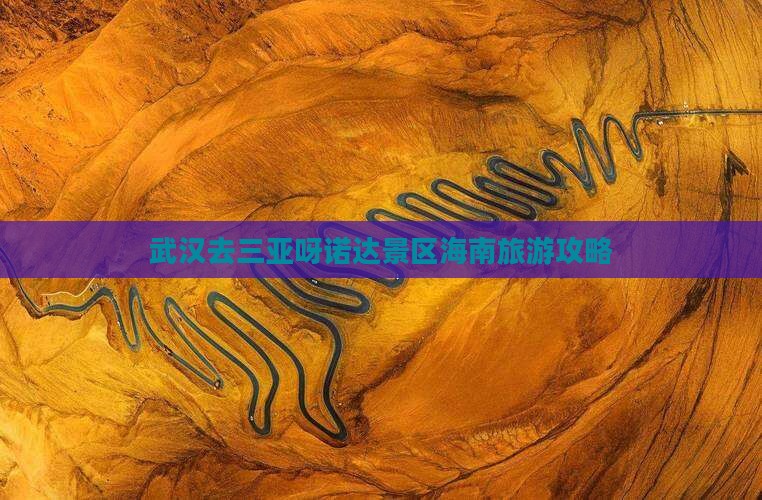 武汉去三亚呀诺达景区个人游