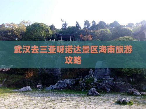 武汉去三亚呀诺达景区个人游