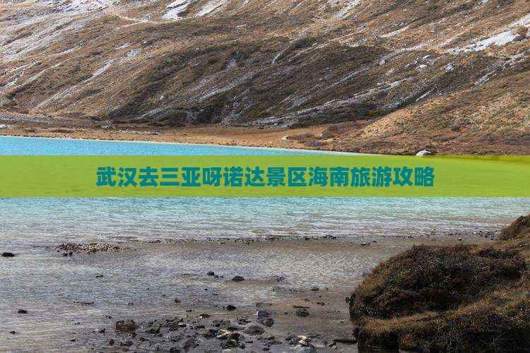 武汉去三亚呀诺达景区个人游