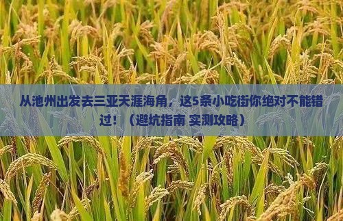 池州出发三亚天涯海角旅游小吃