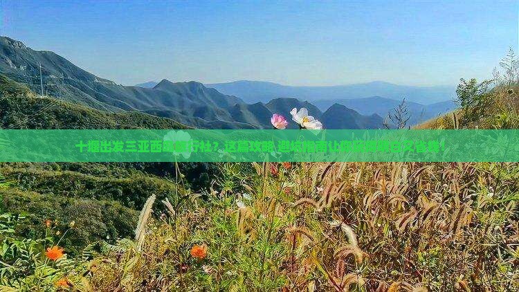 十堰出发三亚西岛旅行社