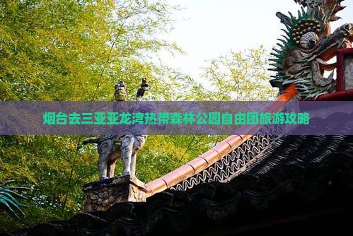 烟台去三亚亚龙湾热带森林公园自由团