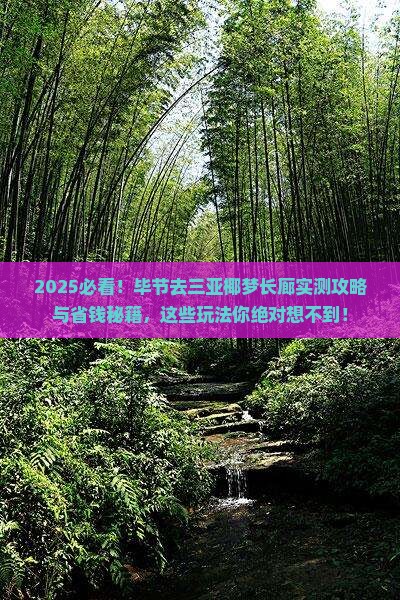 毕节去三亚椰梦长廊必玩地