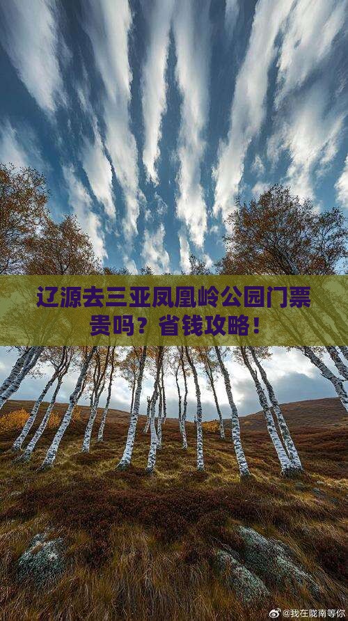 辽源去三亚凤凰岭公园门票