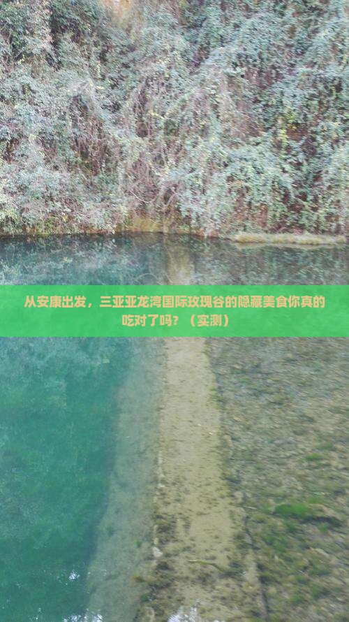 安康出发三亚亚龙湾国际玫瑰谷旅游小吃
