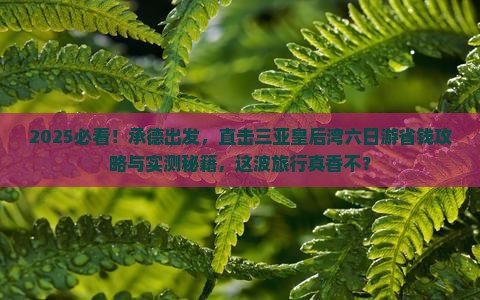 承德前往三亚皇后湾六日游