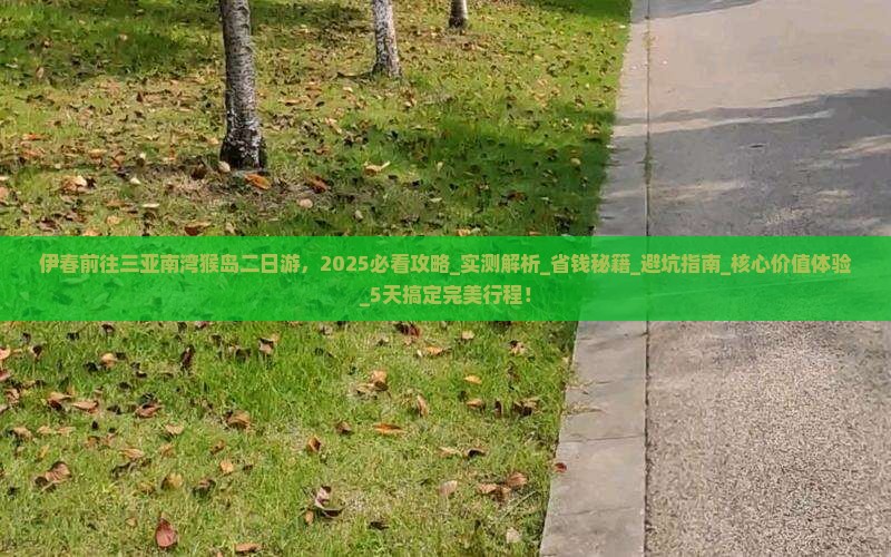 伊春前往三亚南湾猴岛二日游