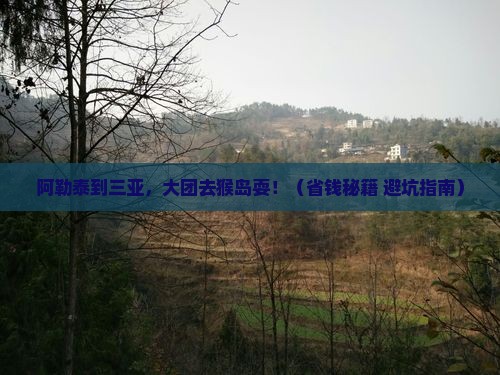 阿勒泰前往三亚南湾猴岛大型旅游团