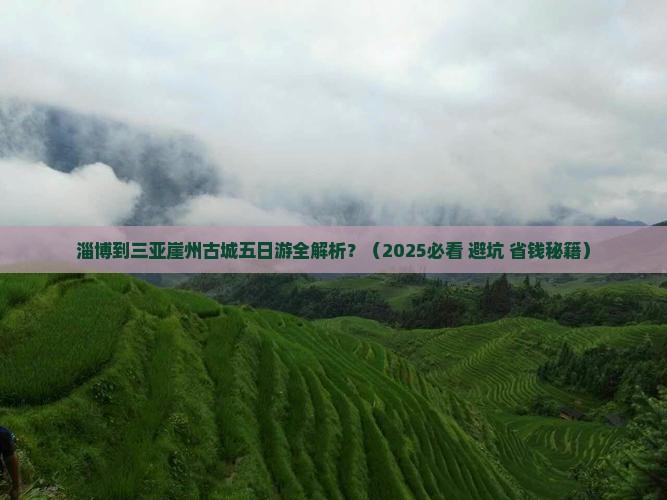 淄博去三亚崖洲古城五日游