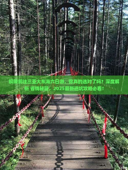 铜陵前往三亚大东海六日游