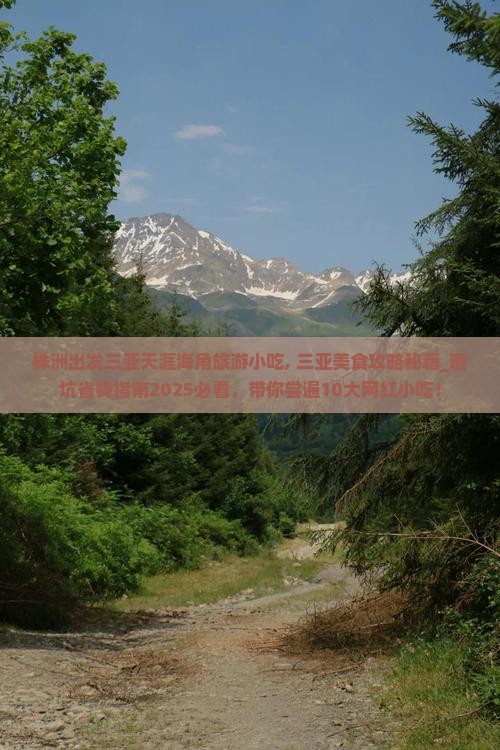 株洲出发三亚天涯海角旅游小吃