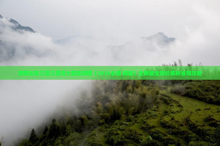 濮阳出发三亚三亚湾大型旅游团