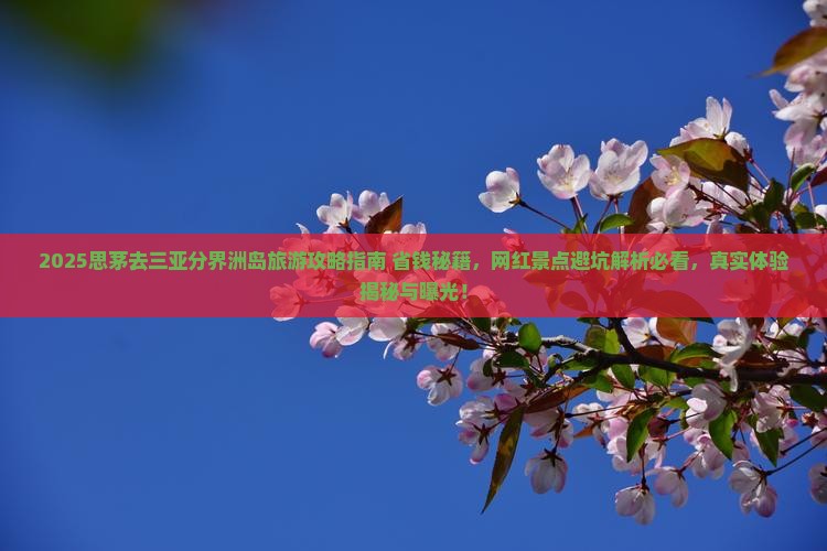 思茅去三亚分界洲岛旅游网红地点