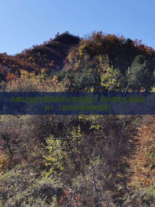 佛山出发三亚凤凰岭公园自由团