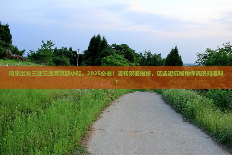 阳泉出发三亚三亚湾旅游小吃