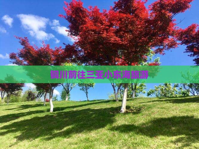 铜川前往三亚小东海旅游 铜川前往三亚小东海旅游