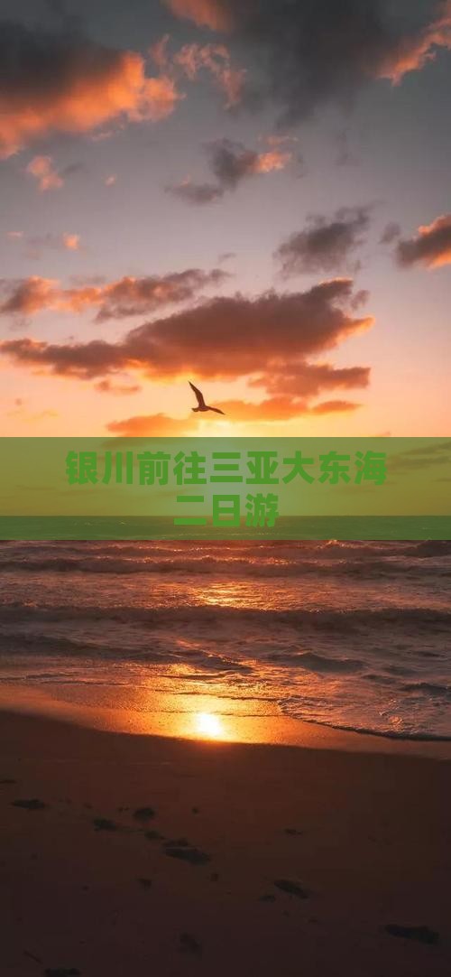 银川前往三亚大东海二日游