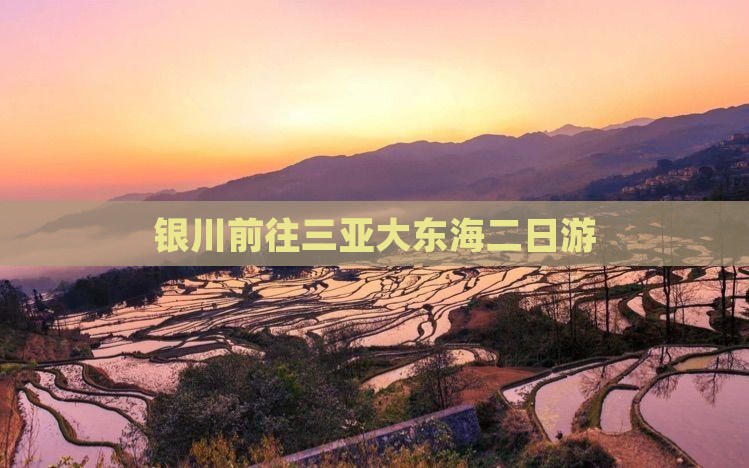 银川前往三亚大东海二日游