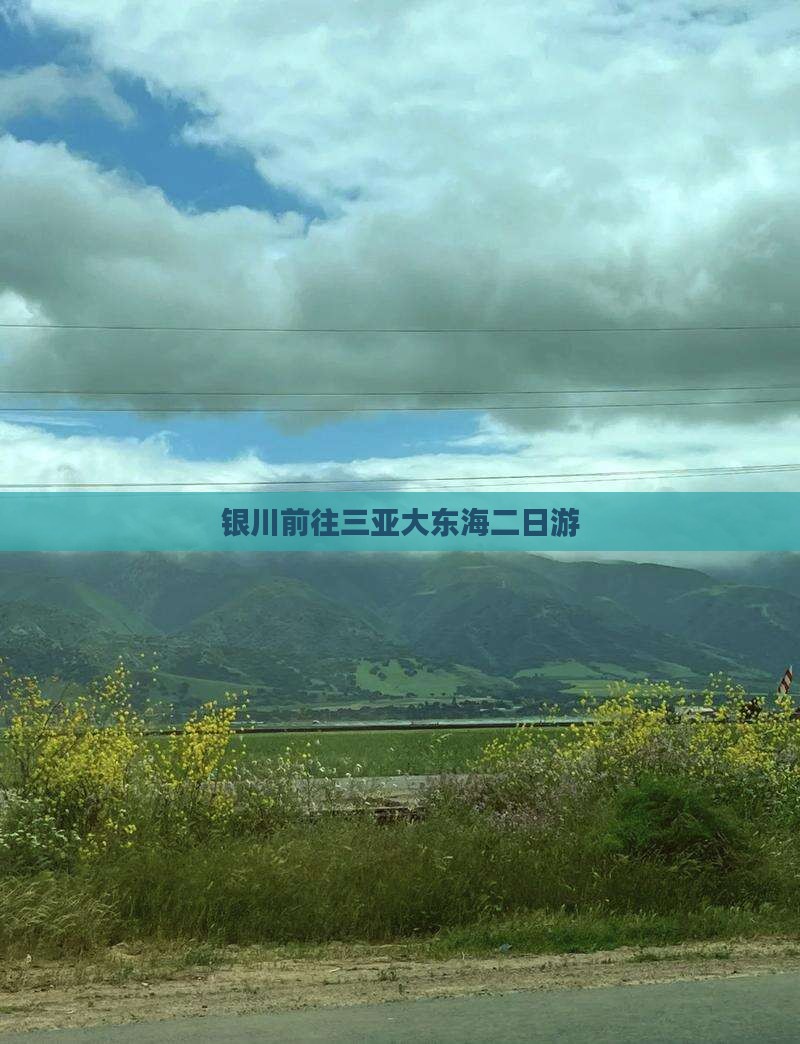 银川前往三亚大东海二日游
