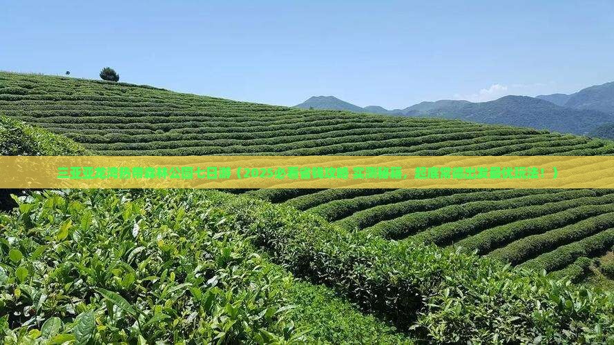 常德出发三亚亚龙湾热带森林公园七日游