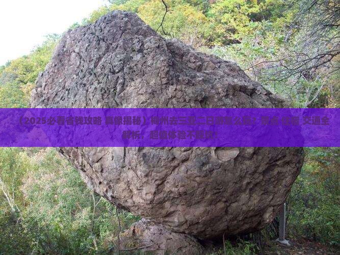 梅州去三亚天涯海角二日游