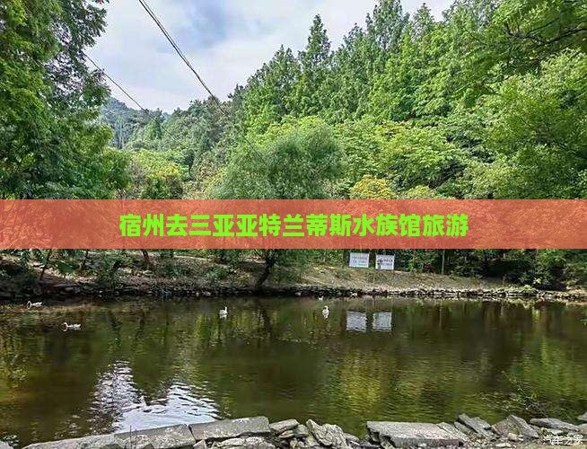 宿州去三亚亚特兰蒂斯水族馆旅游