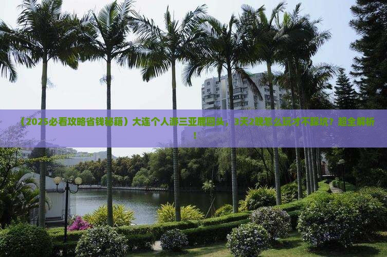 大连去三亚鹿回头个人游