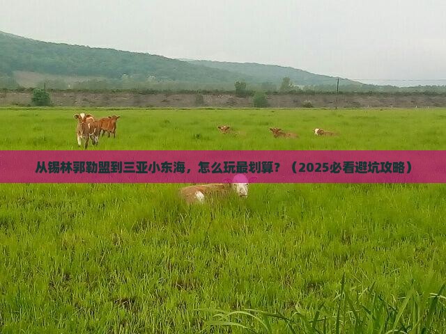 锡林郭勒盟去三亚小东海哪里玩