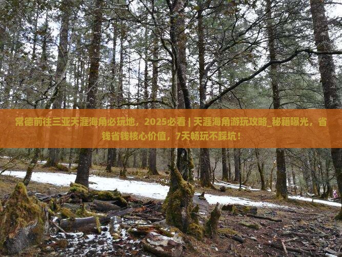 常德前往三亚天涯海角必玩地