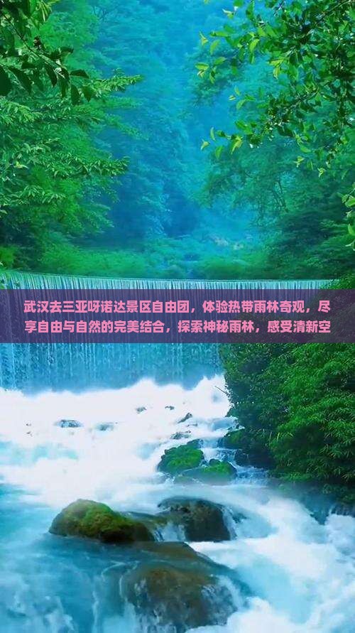 武汉去三亚呀诺达景区自由团