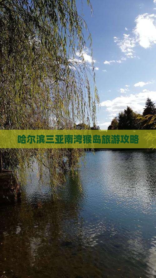 哈尔滨前往三亚南湾猴岛攻略