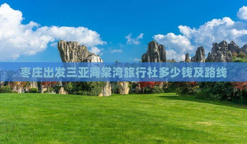 枣庄出发三亚海棠湾旅行社