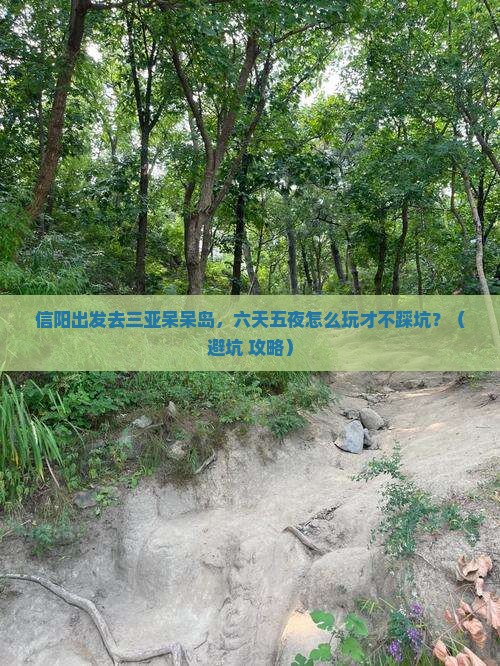 信阳出发三亚呆呆岛六日游