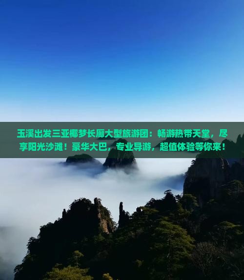 玉溪出发三亚椰梦长廊大型旅游团