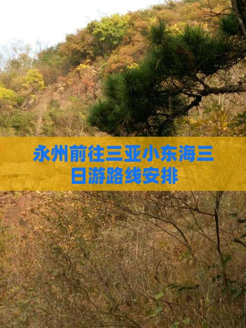 永州前往三亚小东海三日游
