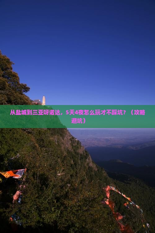 盐城去三亚呀诺达景区攻略