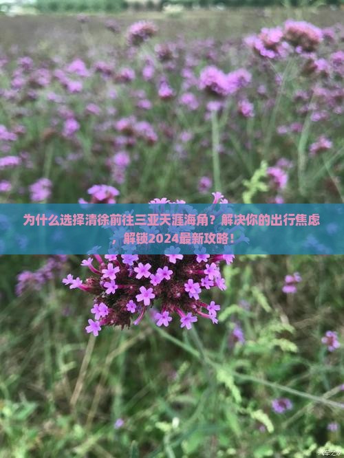 清徐前往三亚天涯海角攻略
